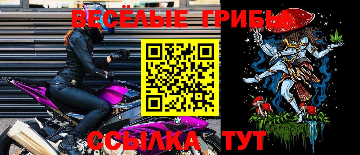 Галлюциногенные грибы Magic Shrooms Лесозаводск