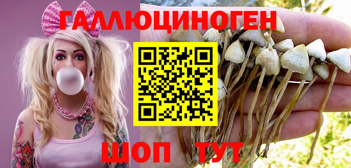 Псилоцибиновые грибы Psilocybine cubensis  наркотики  Лесозаводск  Вход с VPN 